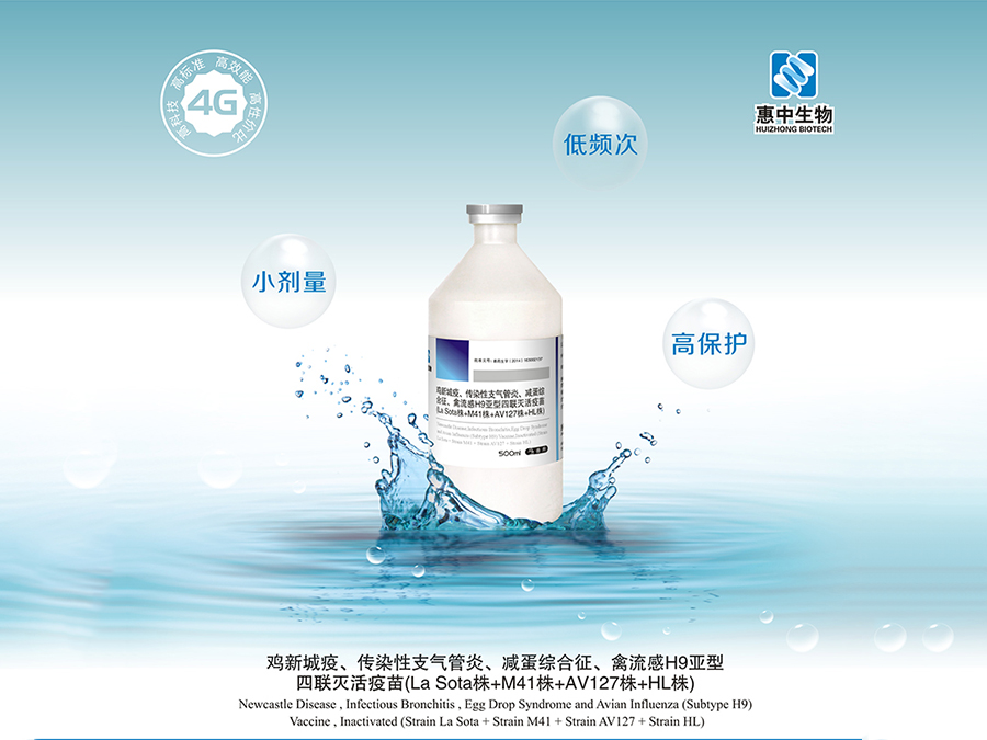 洛陽惠中生物技術有限公司