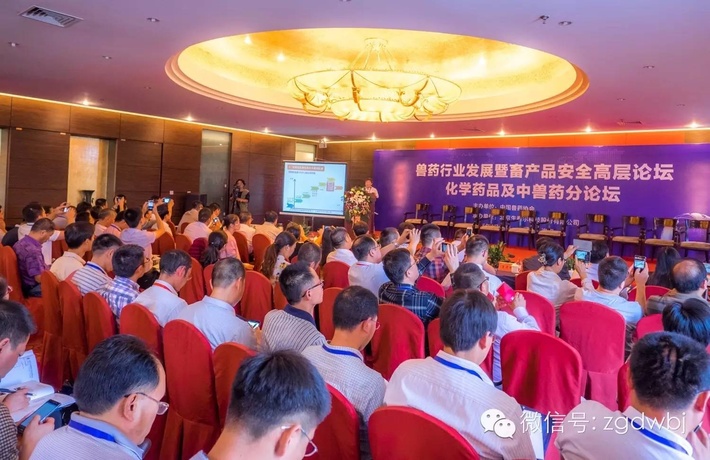 洛陽惠中生物技術(shù)有限公司